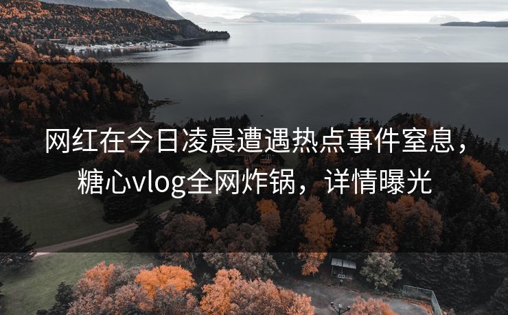 网红在今日凌晨遭遇热点事件窒息，糖心vlog全网炸锅，详情曝光