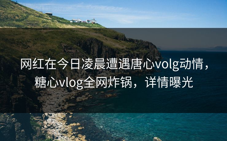 网红在今日凌晨遭遇唐心volg动情，糖心vlog全网炸锅，详情曝光