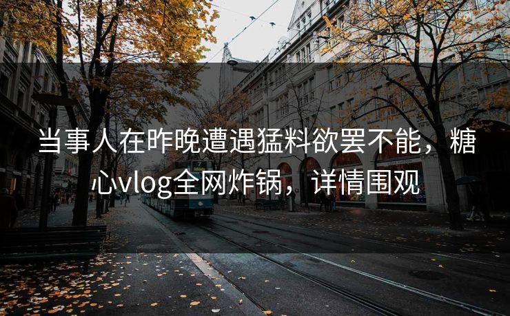 当事人在昨晚遭遇猛料欲罢不能，糖心vlog全网炸锅，详情围观