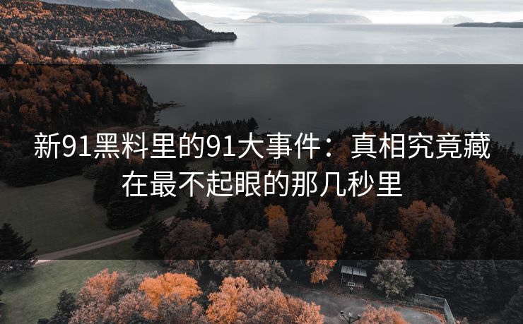 新91黑料里的91大事件：真相究竟藏在最不起眼的那几秒里